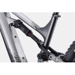 CANNONDALE MOTERRA NEO CR 2